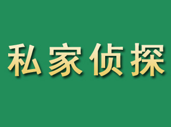 亭湖市私家正规侦探