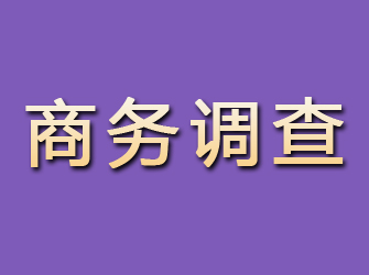 亭湖商务调查